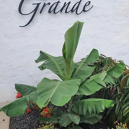 La Suerte Grande 乡村民宿 特尔德