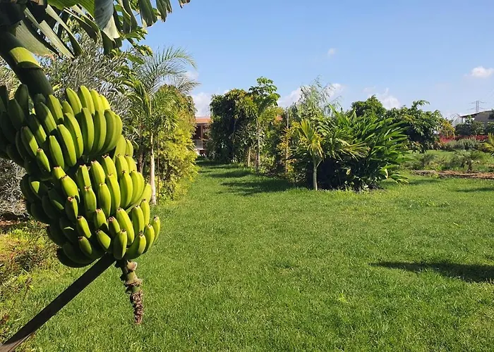 Lantställe La Suerte Grande Telde