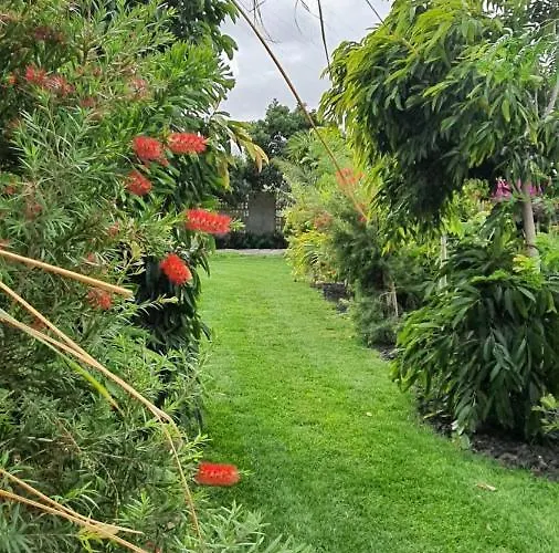 La Suerte Grande * Telde