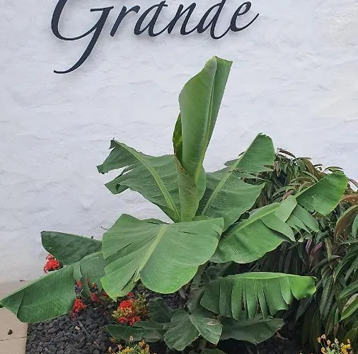 La Suerte Grande Lantställe Telde