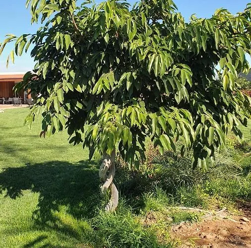 Hétvégi ház La Suerte Grande Telde